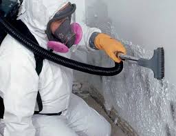 Best Residential Mold Inspection & Testing  in Mount Sterling, KY